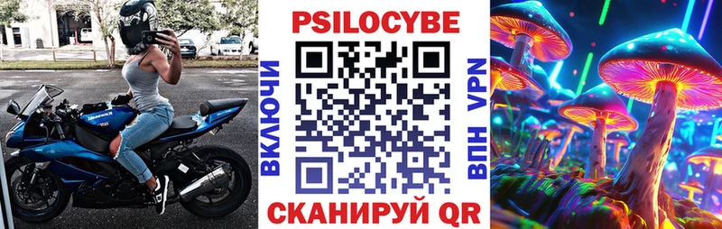 Псилоцибиновые грибы Psilocybe  Стерлитамак 