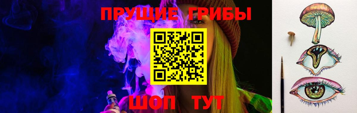 закладка  Псилоцибиновые грибы Magic Shrooms  Вход с VPN  Стерлитамак 